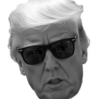 Donald J Trump