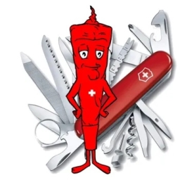 serious-swiss
